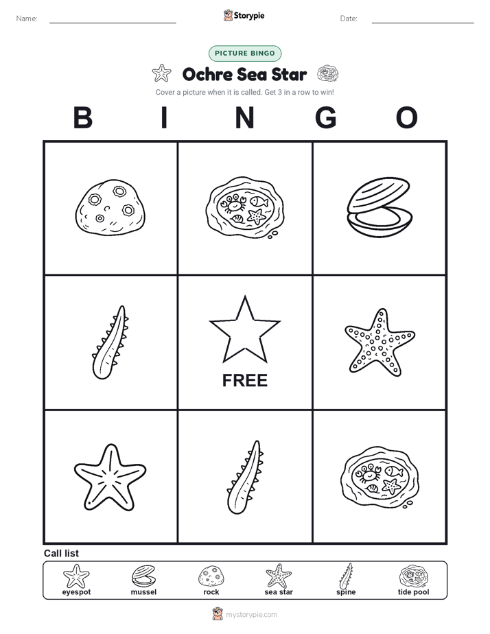 Picture Bingo