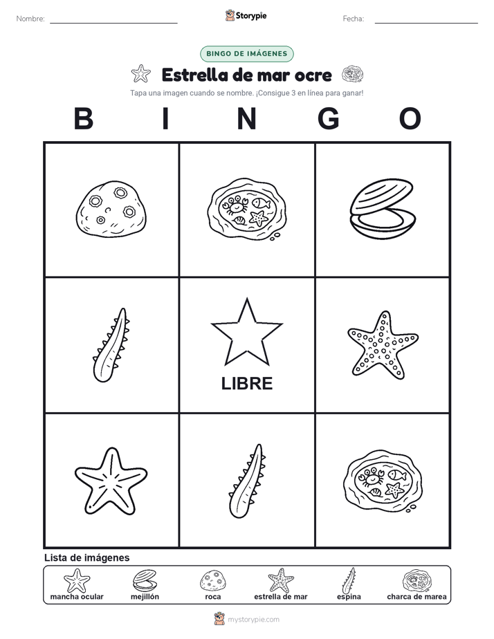 Bingo de Imágenes