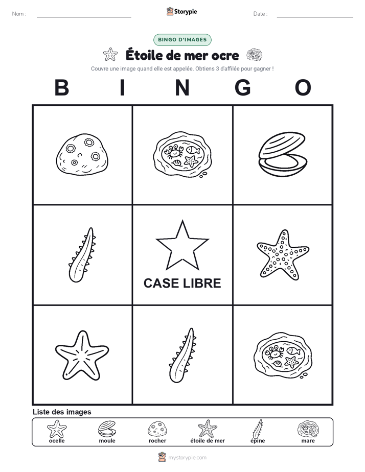 Bingo d'Images