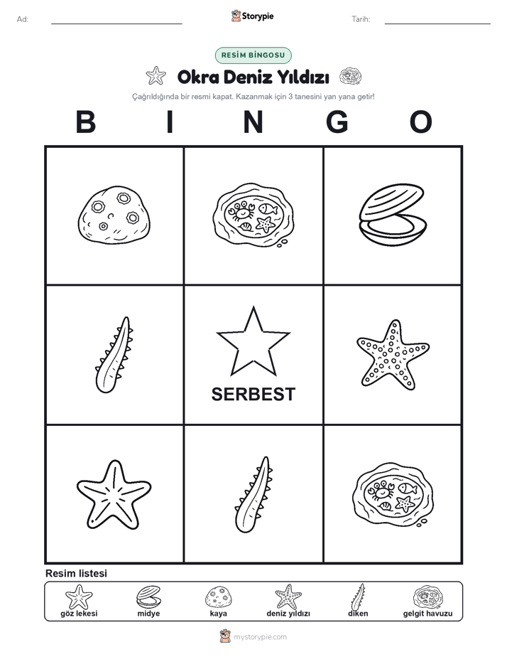 Resim Bingo