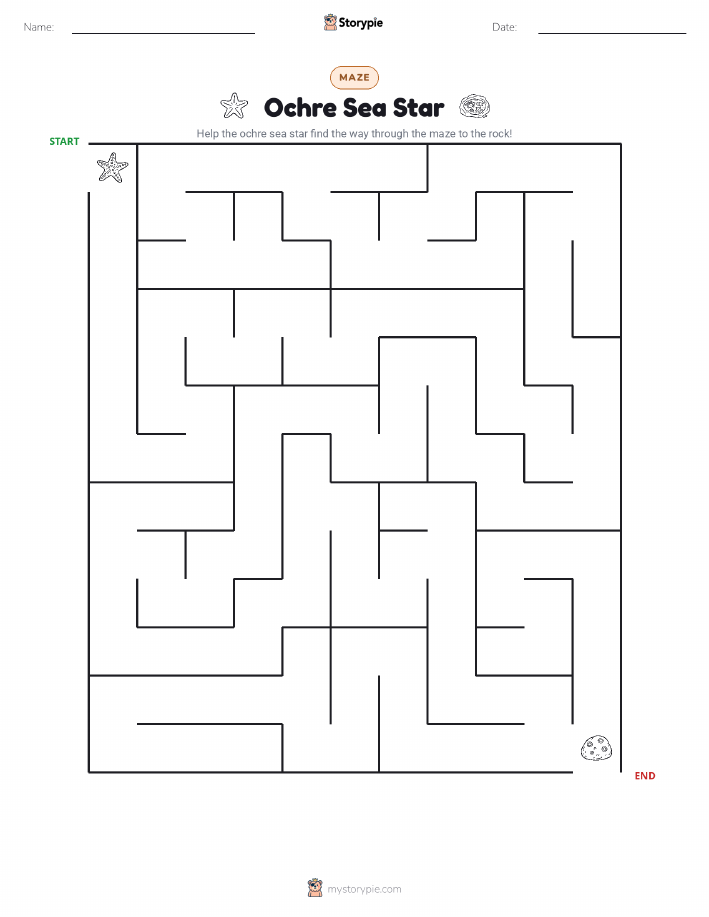 Maze