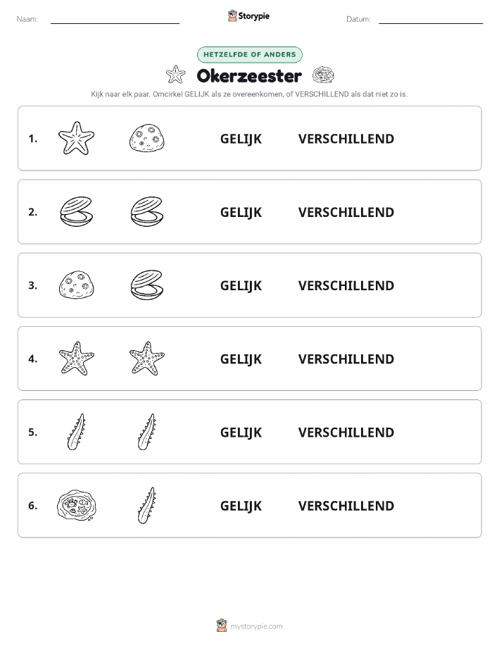 Zelfde of Verschillend