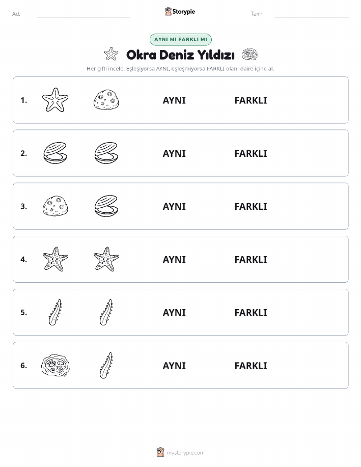 Aynı mı Farklı mı