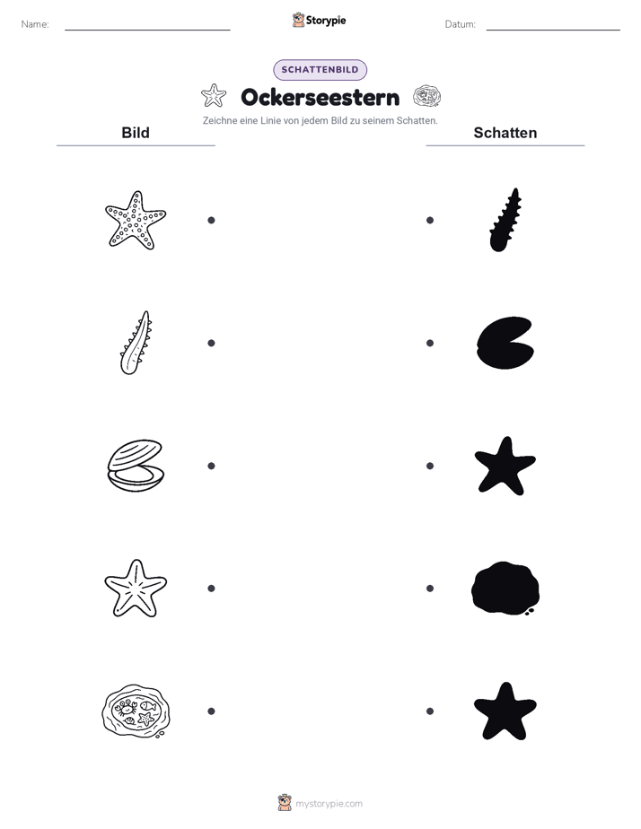Schattenmatch