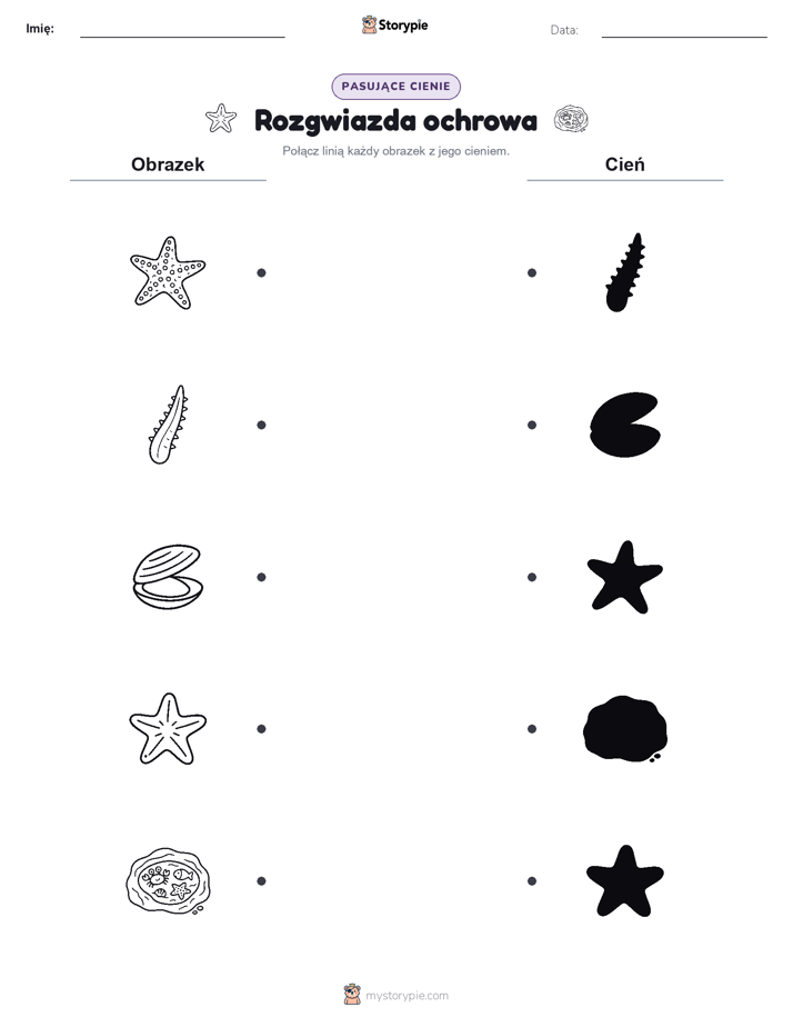Dopasowanie cieni