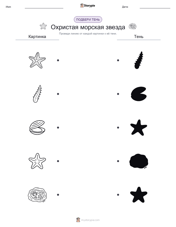 Сопоставление теней