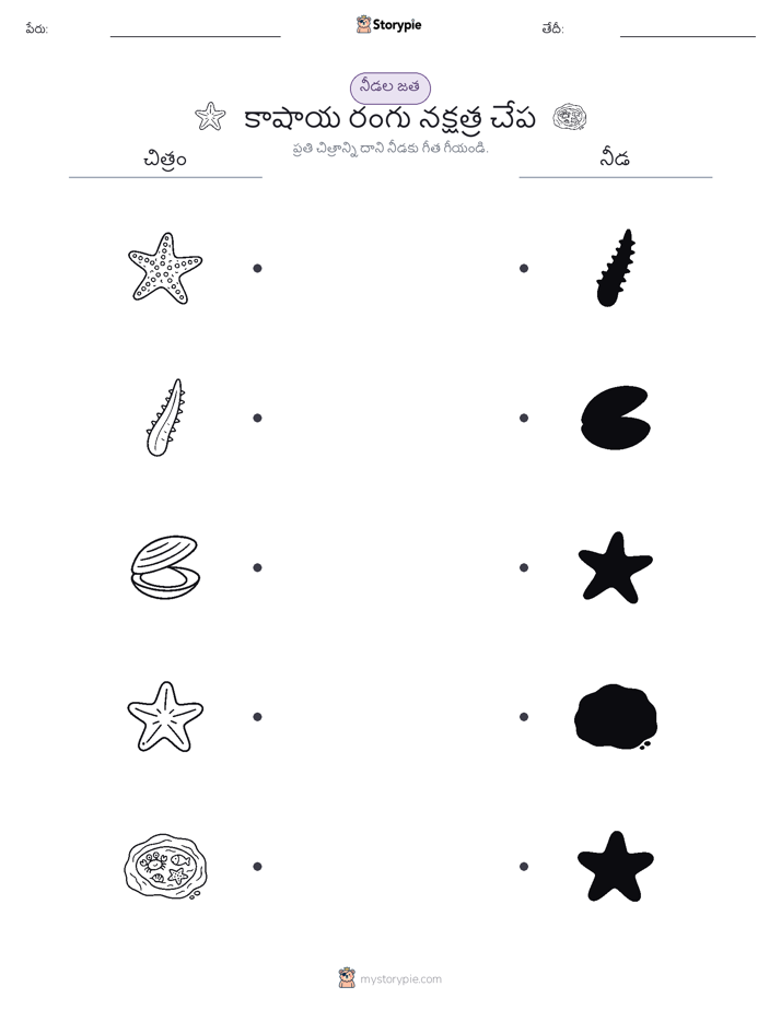 షాడో మ్యాచ్