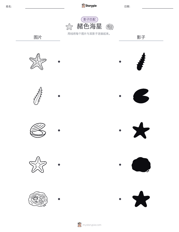 影子匹配