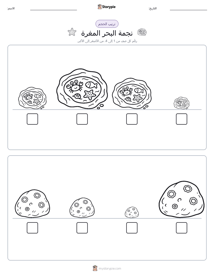 ترتيب الحجم