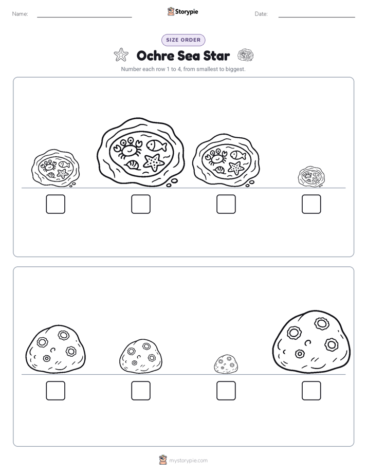 Size Order