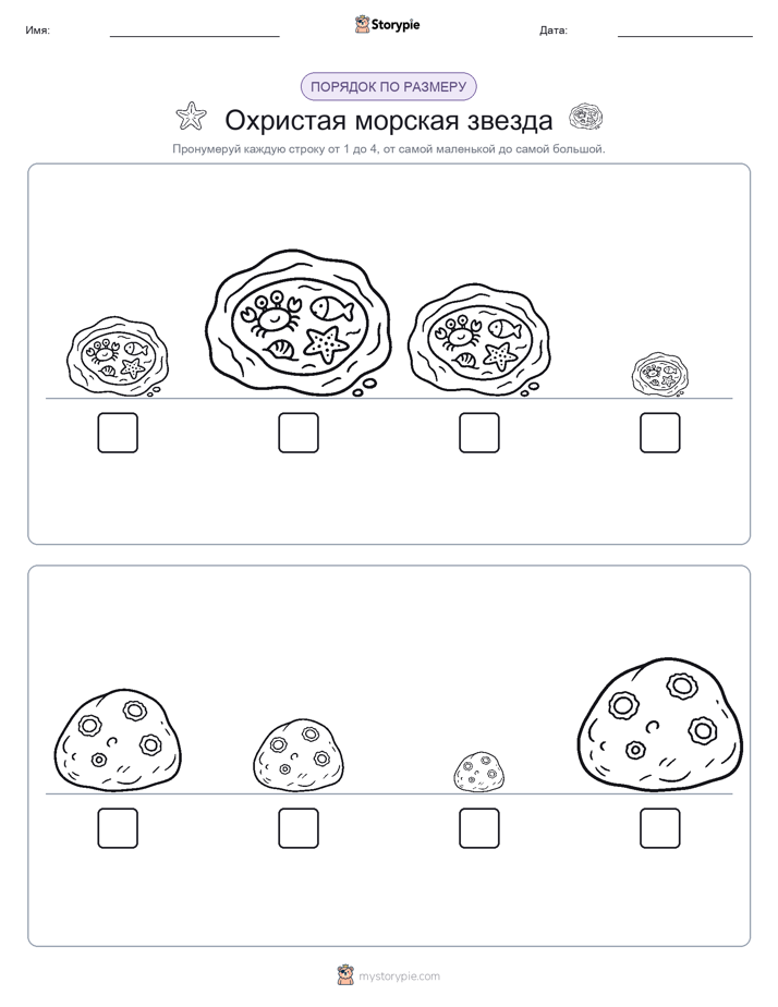 Размеры в порядке