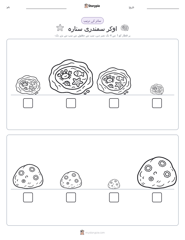 سائز کی ترتیب