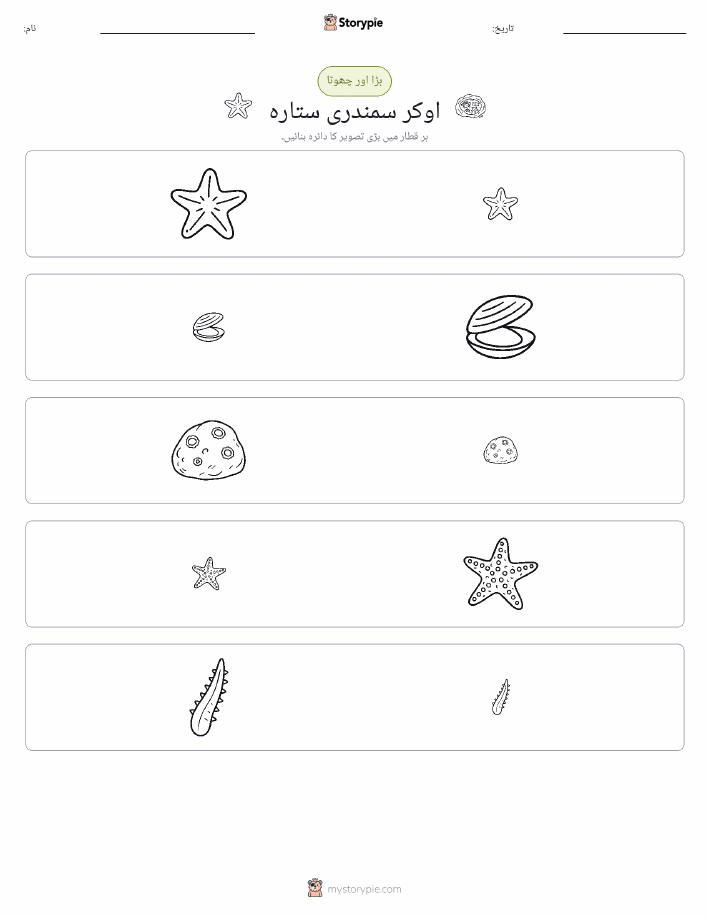 ترتیب دینا