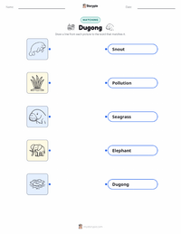 Dugong printable worksheet for kids