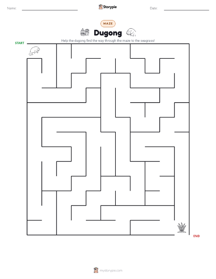 Maze