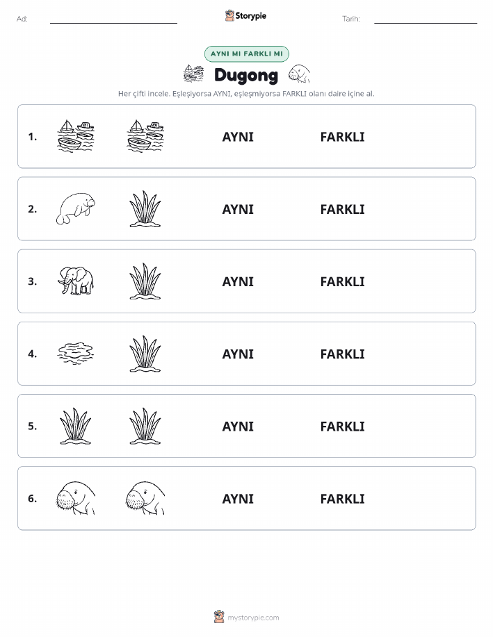 Aynı mı Farklı mı