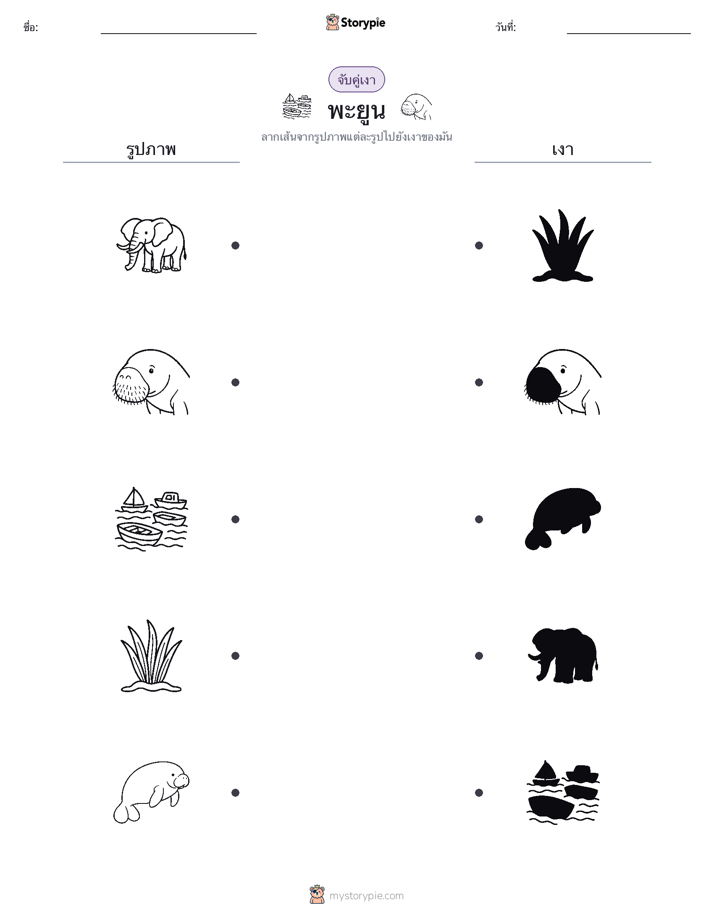 จับคู่เงา