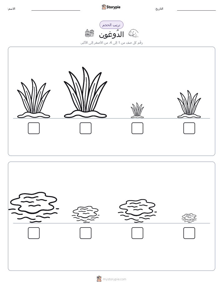 ترتيب الحجم