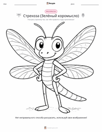 Стрекоза (Зелёный коромысленник) раскраска для детей