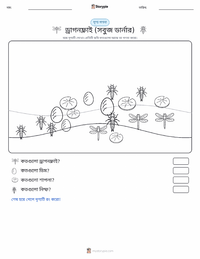 ফড়িং (সবুজ ডার্নার) মুদ্রণযোগ্য কাজের পৃষ্ঠার প্রিভিউ