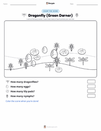 Dragonfly (Green Darner) printable worksheet preview