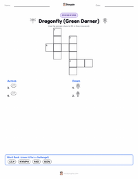 Dragonfly (Green Darner) printable worksheet preview