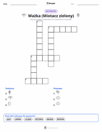 Podgląd drukowalnego arkusza ćwiczeń Ważka (Husarz Wędrowny)