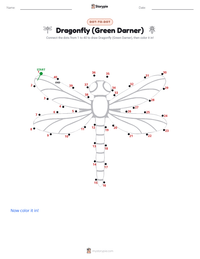 Dragonfly (Green Darner) printable worksheet preview