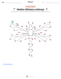 Podgląd drukowalnego arkusza ćwiczeń Ważka (Husarz Wędrowny)