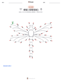 蜻蜓 (绿艾晏蜓) 可打印工作表预览