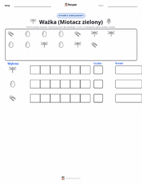Podgląd drukowalnego arkusza ćwiczeń Ważka (Husarz Wędrowny)