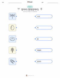 잠자리 (아메리카왕잠자리) 어린이용 인쇄 가능한 워크시트