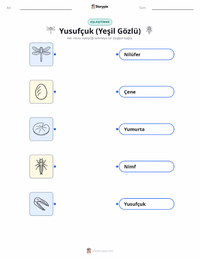Yusufçuk (Yeşil Mozaik Yusufçuğu) çocuklar için yazdırılabilir çalışma sayfası