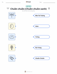 Tài liệu in sẵn Chuồn Chuồn (Darner Xanh) cho trẻ em
