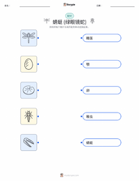 蜻蜓 (绿艾晏蜓) 可打印工作表，适合儿童