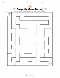 Dragonfly (Green Darner) printable worksheet preview