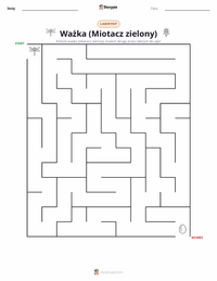Podgląd drukowalnego arkusza ćwiczeń Ważka (Husarz Wędrowny)