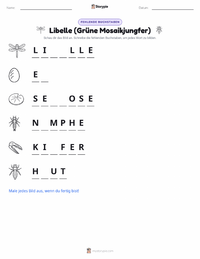 Libelle (Amerikanische Königslibelle) druckbare Arbeitsblatt Vorschau