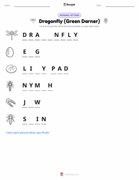 Dragonfly (Green Darner) printable worksheet preview
