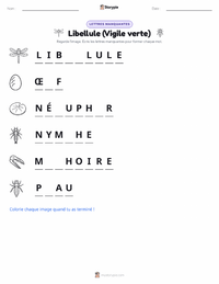 Aperçu de la feuille de travail imprimable Libellule (Anax de juin)