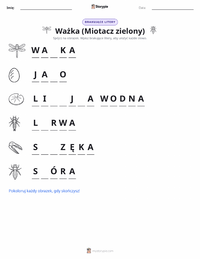Podgląd drukowalnego arkusza ćwiczeń Ważka (Husarz Wędrowny)