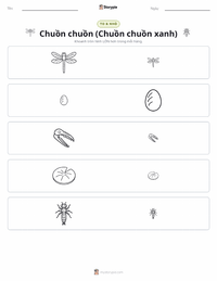 Xem trước tài liệu in sẵn Chuồn Chuồn (Darner Xanh)