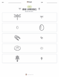 蜻蜓 (绿艾晏蜓) 可打印工作表预览
