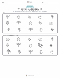 잠자리 (아메리카왕잠자리) 인쇄 가능한 워크시트 미리보기