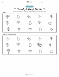 Yusufçuk (Yeşil Mozaik Yusufçuğu) yazdırılabilir çalışma sayfası önizlemesi