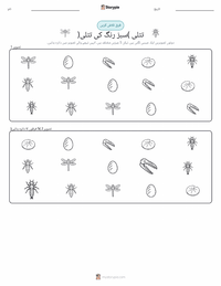 ڈریگن فلائی (گرین ڈارنر) پرنٹ کرنے کے قابل ورکشیٹ کا پیش نظارہ
