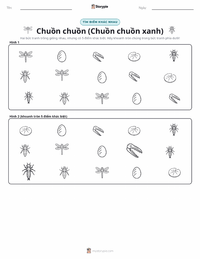 Xem trước tài liệu in sẵn Chuồn Chuồn (Darner Xanh)