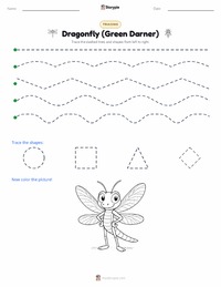 Dragonfly (Green Darner) printable worksheet preview