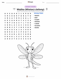 Podgląd drukowalnego arkusza ćwiczeń Ważka (Husarz Wędrowny)