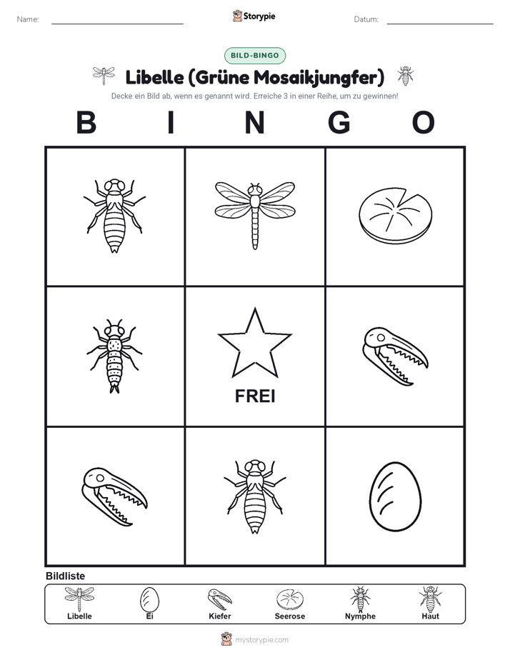 Bild-Bingo